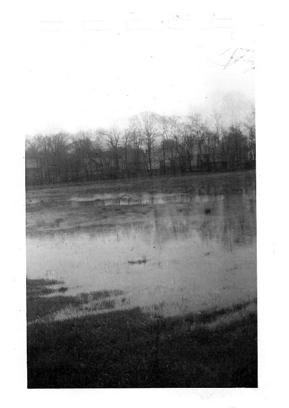 flooded field1