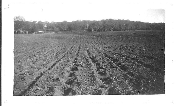 plowed&harrowed field